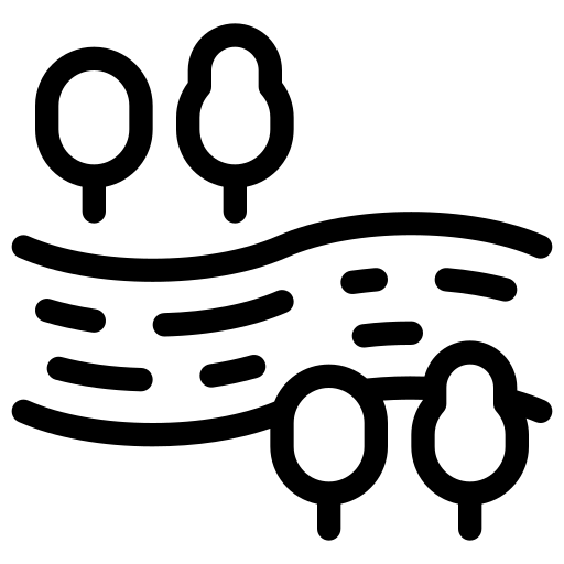 Dimçayı